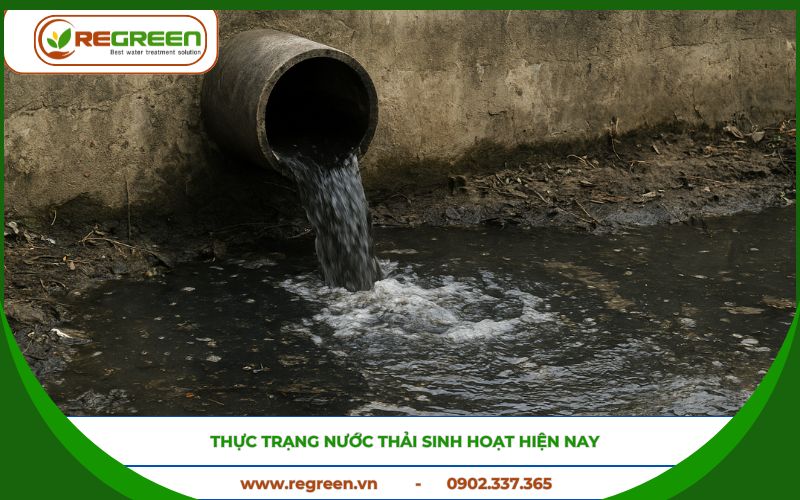 Dòng chảy nước thải sinh hoạt chưa qua xử lý.