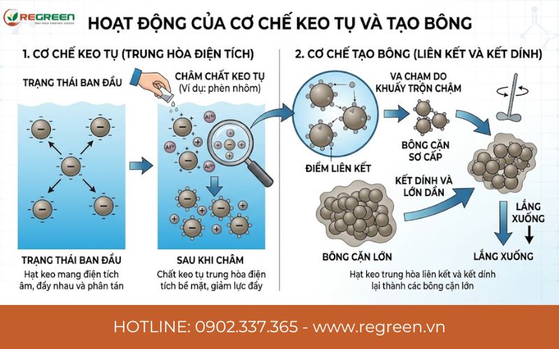 Hoạt động của cơ chế keo tụ tạo bông trong xử lý nước thải