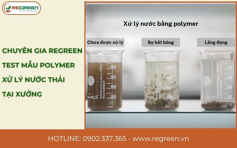 Chuyên gia Regreen test mẫu polymer xử lý nước thải tại xưởng