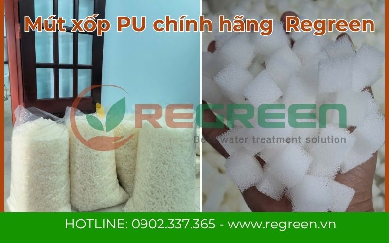 Mẫu giá thể mút xốp PU vuông vắn cạnh 20mm chất lượng cao