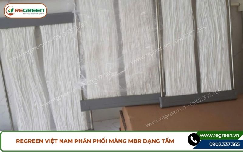 Regreen Việt Nam phân phối màng MBR dạng tấm giá tốt