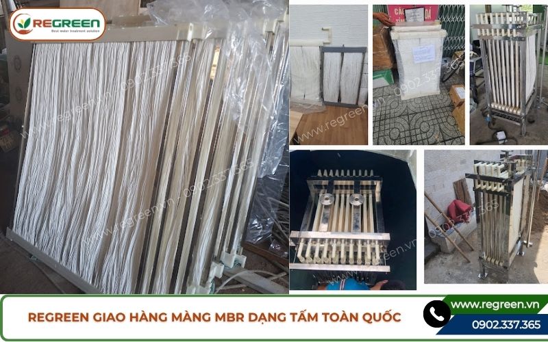 Regreen giao hàng màng MBR dạng tấm toàn quốc