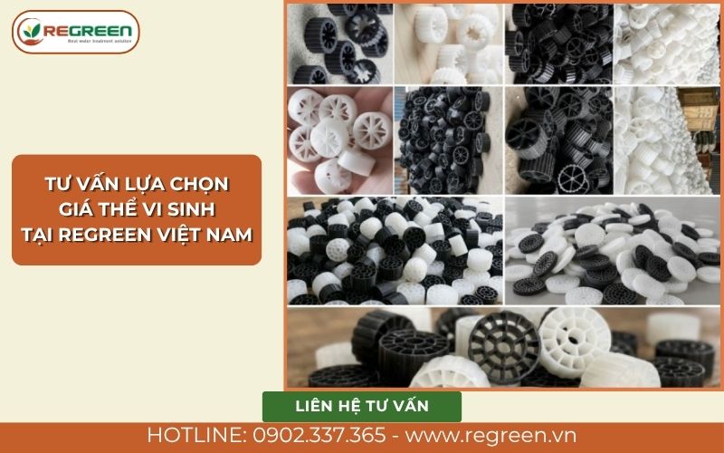 Tư vấn lựa chọn giá thể vi sinh tại Regreen Việt Nam.