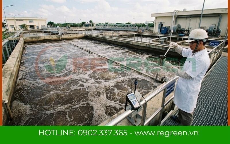 Đánh giá chất lượng bùn lắng sau nuôi cấy vi sinh xử lý nước thải