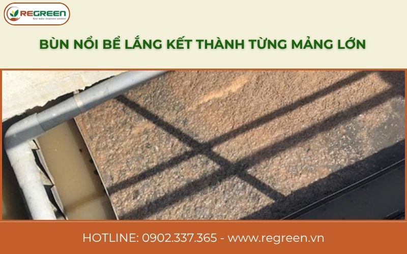 Hình ảnh bùn nổi bể lắng kết thành từng mảng lớn