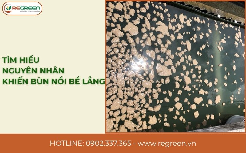Tìm hiểu nguyên nhân khiến bùn nổi bể lắng