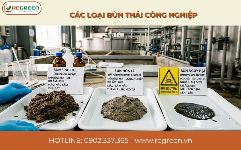 Phân loại bùn sinh học trong xử lý bùn thải công nghiệp.