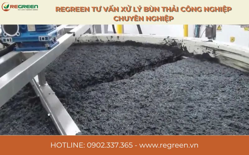 Regreen tư vấn xử lý bùn thải công nghiệp uy tín.