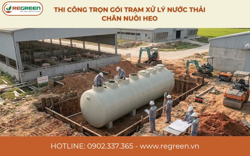 Thi công trọn gói trạm xử lý nước thải chăn nuôi heo.