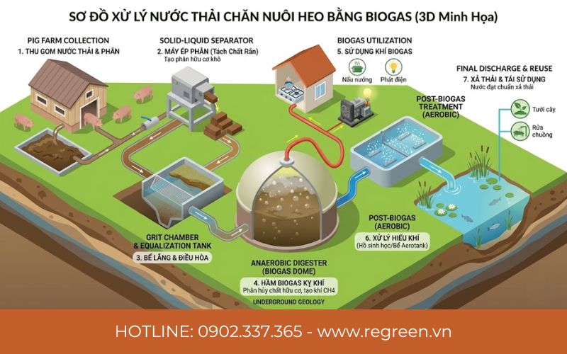 Sơ đồ xử lý nước thải chăn nuôi heo bằng Biogas