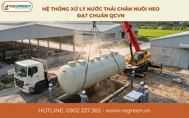 Hệ thống xử lý nước thải chăn nuôi heo đạt chuẩn QCVN