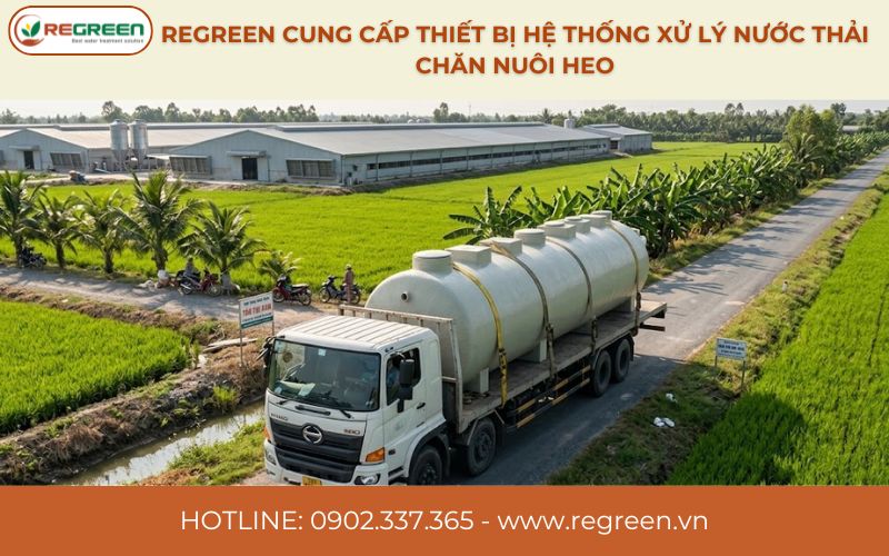 Regreen cung cấp thiết bị hệ thống xử lý nước thải chăn nuôi heo