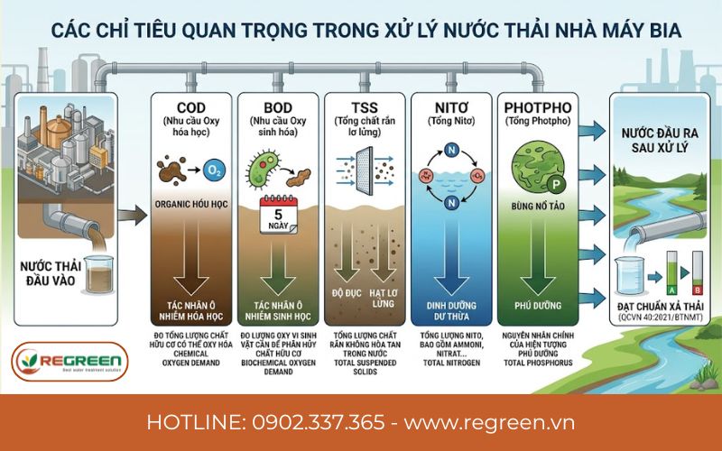 Các chỉ tiêu quan trọng trong xử lý nước thải nhà máy bia
