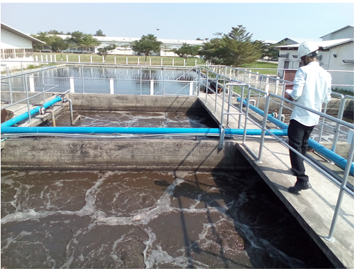 ReGreen Việt Nam cung cấp quy trình xử lý nước thải khu chung cư hiệu quả cùng hệ thống lọc nước hiện đại