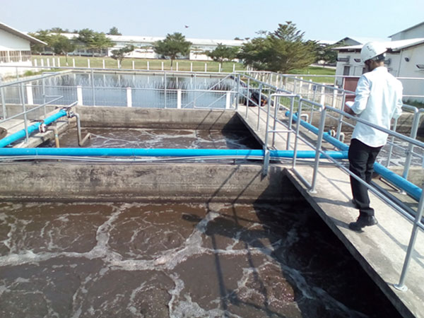 ReGreen Việt Nam hỗ trợ lắp đặt và bảo dưỡng hệ thống xử lý nước thải công nghiệp từ A đến Z