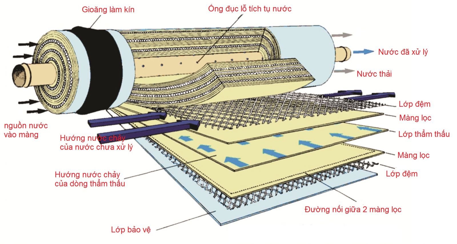 Màng lọc RO có cấu tạo như thế nào?