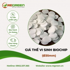 Giá thể Biochip VN chính hãng
