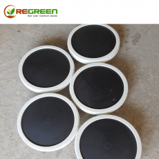 Đĩa thồi khí D270 (china)