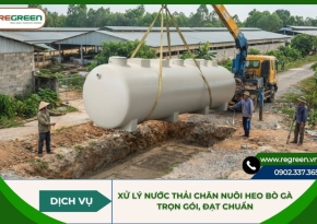 Xử lý nước thải chăn nuôi heo bò gà trọn gói, đạt chuẩn
